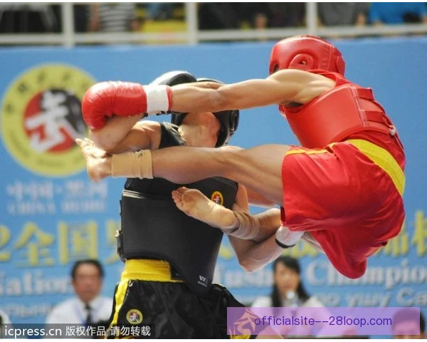 散打基本拳法，动作要领与发力节奏需同步掌握